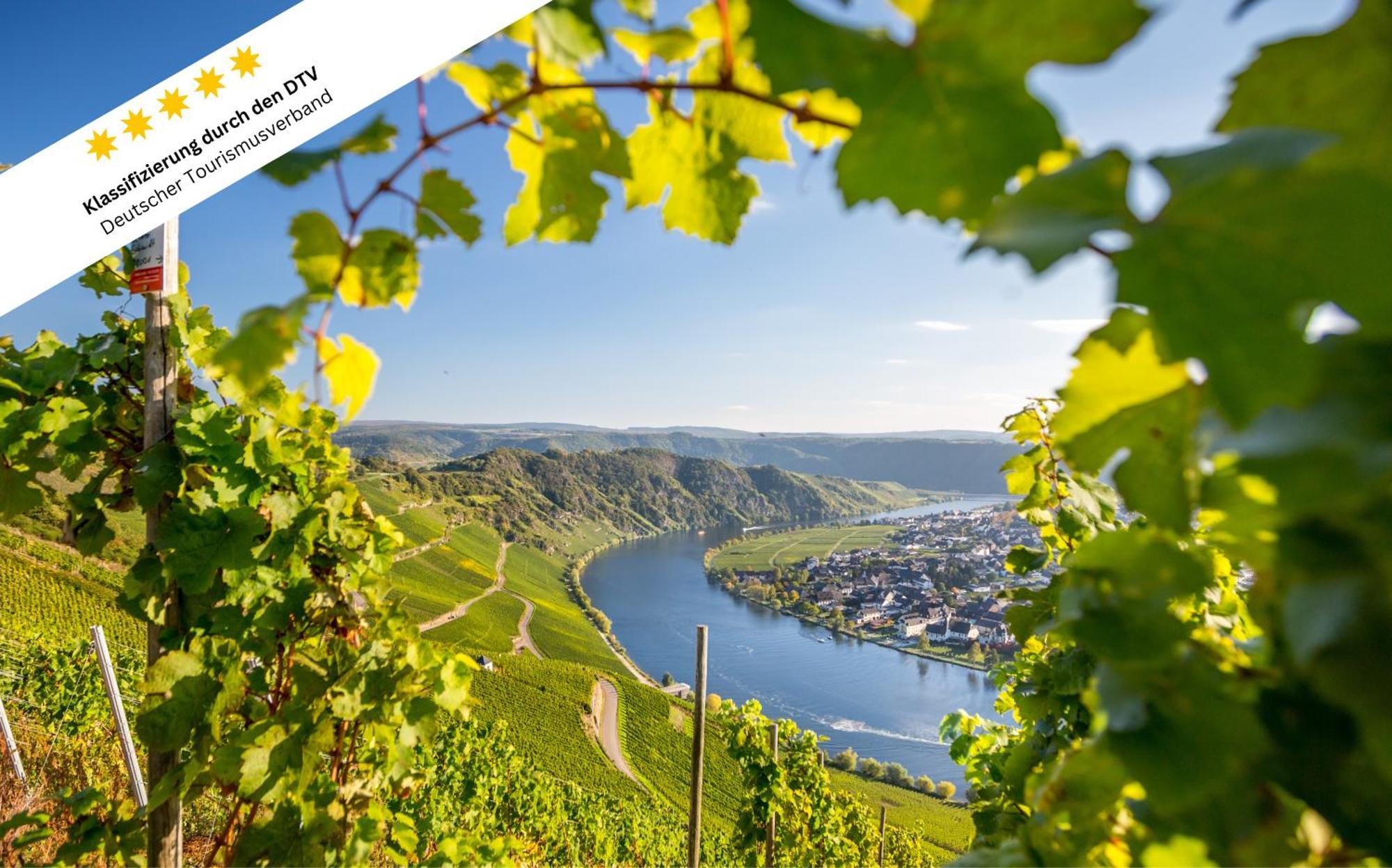 Wohlfuehloase An Der Mosel Διαμέρισμα Osann-Monzel Εξωτερικό φωτογραφία